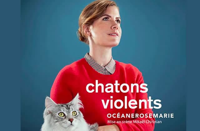 Chatons violents